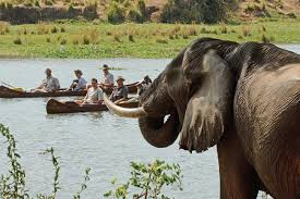 South Luangwa National Park